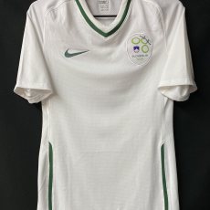 【2008/09】 / Slovenia / Home / Player Issue