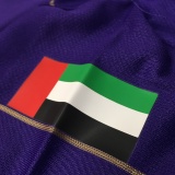 【2016】 / Al Ain FC / Home